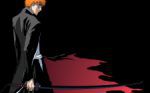 Rating: s Score: 9.80 Tags: ichigo, shinigami, bleach]