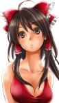 Rating: s Score: 10.00 Tags: touhou, girl, hakurei reimu, long hair, brown hair, brown eyes, ribbon, cleavage, breast