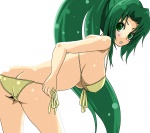 Rating: e Score: 10.00 Tags: bikini