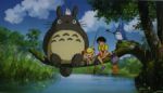 Rating: s Score: 9.50 Tags: studio_ghibli totoro