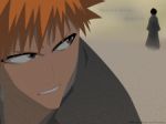 Rating: s Score: 8.86 Tags: bleach