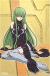 Rating: s Score: 9.00 Tags: girl, c.c., code geass, long hair