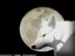 Rating: s Score: 10.00 Tags: moon wolf wolf's_rain