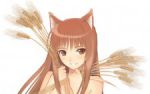 Rating: s Score: 10.00 Tags: horo, holo
