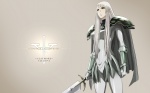  Score: 23 Tags: claymore,galatea,widescreen