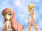  Score: 17 Tags:  cagalli_yula_athha erotic gundam_seed lacus_clyne panties underwear 