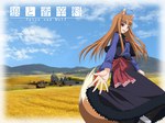  Score: 7 Tags: animal ears,brown hair,field,fox ears,fox tail,girl,horo,long hair,red eyes,smile,solo,spice and wolf,tail