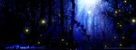  Score: 8 Tags: fireflies,forest,gloom,inscription,kaze hime,light,tree (trees),widescreen