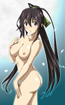  Score: 36 Tags:  ass black hair breasts erotic gentoku (artist) girl infinite stratos long hair naked ponytail purple eyes shinonono houki 