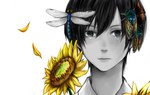  Score: 34 Tags:  dragonfly face flower (flowers) insect male monochrome original petals polychromatic portrait short hair simple background solo sunflower tears ue san (artist) white 