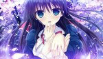  Tags: black hair,blue eyes,blush,cherry blossoms,game cg,girl,kuragano sera,long hair,looking at viewer,open mouth,petals,primal x hearts,ring,school uniform,tree (trees),uniform,wide image