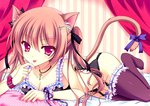  Score: 99 Tags: animal ears,animal tail,black thighhighs,bra,cat ears,catgirl,cat tail,frills,girl,hair ribbon,light erotic,lingerie,long hair,original,:p,pink hair,purple eyes,ribbon (ribbons),single,sora 18,tail,thighhighs,tongue,twintails