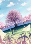  Score: 126 Tags: amano toko,bungaku shoujo,cherry blossoms,cloud (clouds),forest,girl,inoue konoha,landscape,male,paper,petals,plant (plants),school uniform,sky,tall image,tree (trees),yakkun