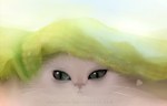  Score: 54 Tags:  animal apofiss cat green eyes original 