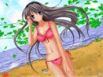  Tags: bikini,blue eyes,clannad,girl,grey hair,highres,light erotic,long hair,plant (plants),sakagami tomoyo,silver hair,underwear