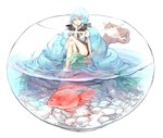  Score: 36 Tags: aquarium,barefoot,blue eyes,blue hair,bottle miku,bubble (bubbles),crossed legs,fish,girl,hair ribbon,hatsune miku,highres,open mouth,rosele,seifuku,simple background,single,sitting,twintails,very long hair,vocaloid,white