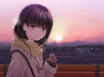  Tags: amagami,ayatsuji tsukasa,black hair,blush,brown eyes,girl,hosi-gaki,long hair,looking at viewer,scarf,single,sunset