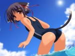  Score: 9 Tags: animal ears,cat ears,double vertical stripe,light erotic,school swimsuit,swimsuit,tail
