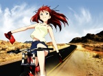  Score: 18 Tags:  bicycle desert neon_genesis_evangelion soryu_asuka_langley 
