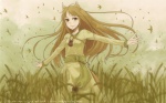  Score: 60 Tags: animal ears,bird (birds),brown hair,foxgirl,girl,highres,horo,light smile,long hair,nona (artist),solo,spice and wolf,spread arms,widescreen