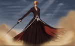  Tags:  bleach kurosaki_ichigo 