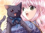  Score: 9 Tags:  Man_at_work_3_(game) cat game_cg girl green_eyes pink_hair 