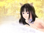 Rating: e Tags: animal_ears cat_ears long_hair nude tagme wallpaper