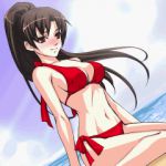 Rating: s Score: 4 Tags: beach bikini days_of_memories fatal_fury ipod_nano_wallpaper king_of_fighters lowres shiranui_mai side-tie_bikini snk swimsuit wallpaper