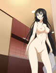 Rating: e Score: 44 Tags: black_hair breasts gluteal_fold highres infinite_stratos nipples nude nude_filter photoshop pussy shinonono_houki tagme uncensored vector_trace