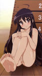 Rating: e Score: 12 Tags: 1girl absurdres ahoge aizawa_sumie barefoot black_hair blush brown_eyes feet feet_together female highres leg_hug long_hair looking_at_viewer megami nude nude_filter photoshop pussy shakugan_no_shana shana sitting smile soles solo toes uncensored vaulting_horse