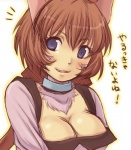 Rating: q Score: 1 Tags: animal_ears blue_eyes brown_hair cat_ears fang hack hack_roots short_hair tabby