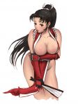 Rating: q Score: 10 Tags: king_of_fighters ninja shiranui_mai snk tagme