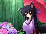 Rating: s Tags: animal_ears blush cat_ears cat_tail flower japanese_clothes kimono long_hair tail