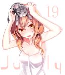 Rating: s Score: 5 Tags: 1girl animal_on_head armpits cat collarbone hair_ribbon haruka_natsuki looking_at_viewer orange_eyes orange_hair original parted_lips ribbon simple_background solo tank_top twintails undershirt upper_body white_background