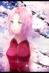 Rating: s Score: 5 Tags: 1girl :o bare_shoulders breasts cherry_blossoms eyelashes green_eyes haruno_sakura naruto open_mouth petals pink_hair sakura sasucchi short_hair sleeveless solo tree upper_body zipper