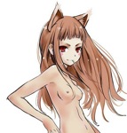 Rating: e Score: 17 Tags:  animal_ears blush breasts brown_hair female holo koshochka long_hair looking_at_viewer nude red_eyes solo spice_and_wolf 
