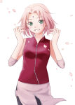Rating: s Score: 14 Tags: 1girl bare_shoulders elbow_pads forehead_mark green_eyes haruno_sakura looking_at_viewer nanji3 naruto petals pink_hair sakura sakura_petals simple_background sleeveless smile solo white_background zipper