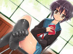 Rating: s Score: 12 Tags: book bow brown_eyes cardigan chair feet glasses nagato_yuki panties pantyshot pov_feet purple_hair reading ribbon school_uniform sitting skirt socks soles suzumiya_haruhi_no_yuuutsu sweater underwear uniform upskirt window