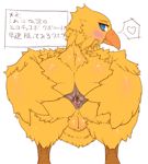 Rating: e Score: -1 Tags: anus ass blush chocobo final_fantasy no_humans pussy spread_anus spread_ass square_enix sukarabe_(scarab) translation_request