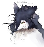 Rating: s Score: 8 Tags: close-up fur furry multicolored_hair rain_(sergal) rain_silves sergal simple_background sindoll solo translation_request yellow_eyes
