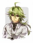 Rating: s Tags: Male, Long Hair, Green Hair, Gold Eyes, Pokémon, Nintendo, White Background, Solo, Smile, Yomo, N (Pokémon), Game Freak, Simple Background, Looking At Camera, Alternate Background