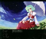 Rating: s Tags: Female, Short Hair, Grass, Green Hair, Touhou, Sitting, Parasol, Scan, Kazami Yuuka, Solo, Ascot