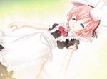 Rating: s Tags: CG Art, Blue Eyes, Short Hair, Pink Hair, Headdress, Open Mouth, Kiira, Maid Headdress, Ainsworths No Mamonotachi