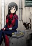 Rating: s Tags: Female, Lingerie, Long Hair, Black Hair, Animal, Cat, Cosplay, Black Eyes, K-ON!, Akiyama Mio, Spiderman, Marvel, Spiderman (Cosplay), O.O, Callejon
