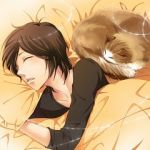 Rating: s Tags: Male, Brown Hair, Short Hair, Animal, Sleeping, Cat, Eyes Closed, Pillow, Blanket, Nico Nico Singer, Dasoku, Pixiv Id 338202