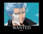 Rating: s Tags: Male, Blue Hair, Short Hair, Bleach, Screenshot, Grimmjow Jeagerjaques, Espada, deviantART, Text, Demotivational Poster, Low Quality, Smile, Smirk