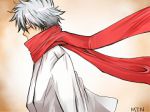 Rating: s Tags: Male, Gin Tama, Short Hair, White Hair, Sakata Gintoki