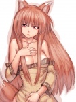 Rating: q Tags: Female, Ecchi, Long Hair, Brown Hair, Horo, Nekomimi, Spice and Wolf, Kitsunemimi, Kemonomimi, Okamimimi