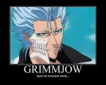 Rating: s Tags: Male, Blue Hair, BLEACH, Grimmjow Jeagerjaques, Arrancar, Text, Demotivational Poster, Low Quality