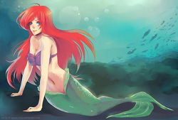 Rating: s Tags: Female, Fanart, Water, Fish, Long Hair, Ocean, Red Hair, Mermaid, Underwater, Little Mermaid, Solo, Ariel, Disney, Ayane-ninja (Artist), Little Mermaid (Disney)